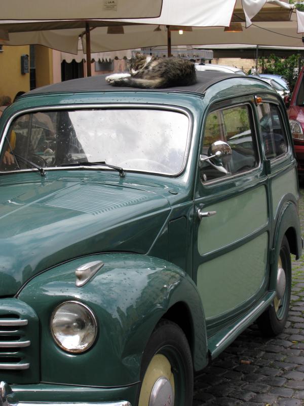 Roma - senza glutine